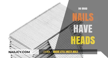 Do Brad Nails Have Heads? A Comprehensive Guide to Brad Nails