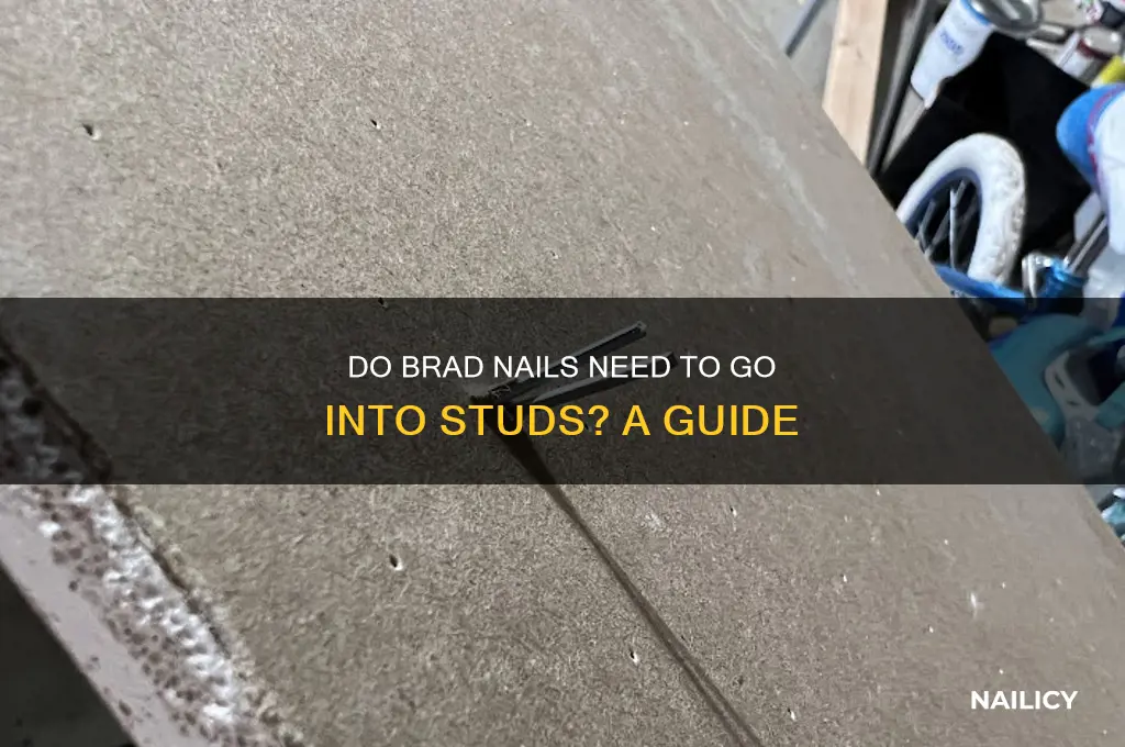 do brad nails need to go into studs