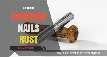 Do Bright Common Nails Rust? Understanding Corrosion and Prevention