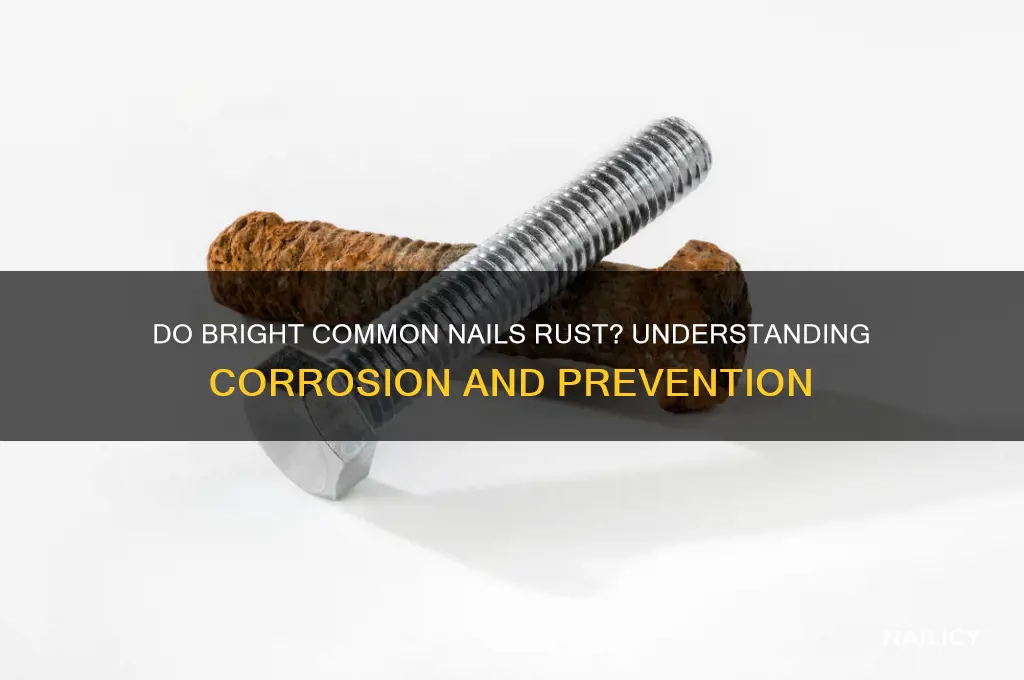 do bright common nails rust