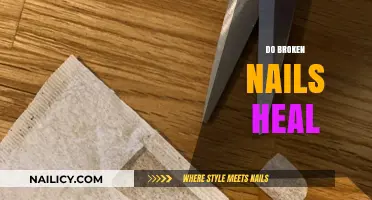 Can Broken Nails Heal? Understanding Nail Repair and Recovery