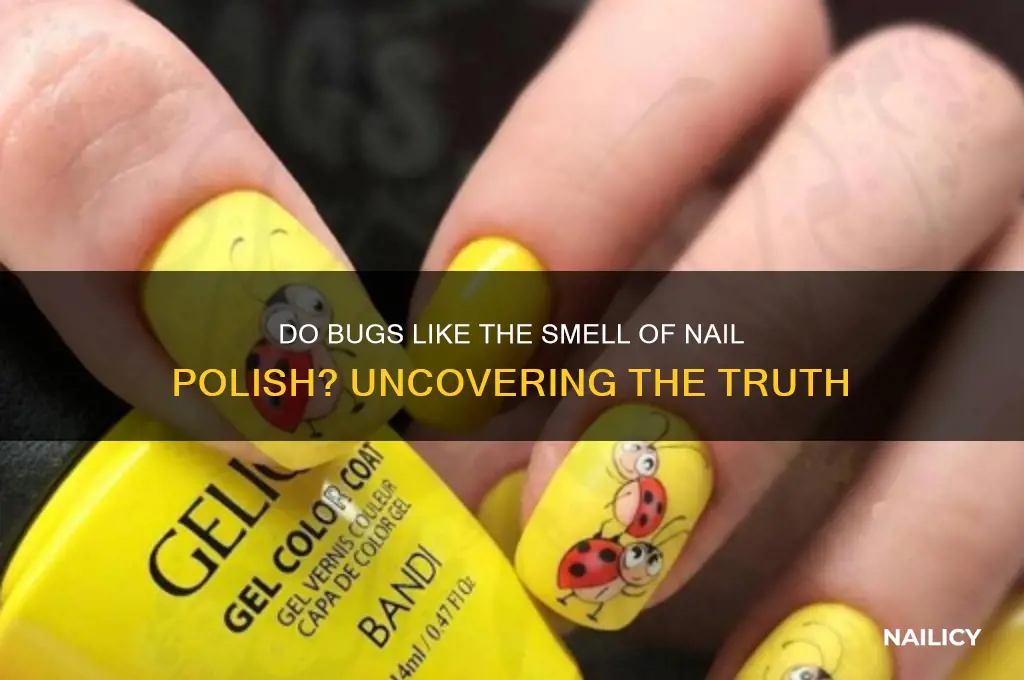 do bugs like the smell of nail polish