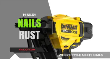 Do Bulldog Nails Rust? Uncovering the Truth About Nail Care