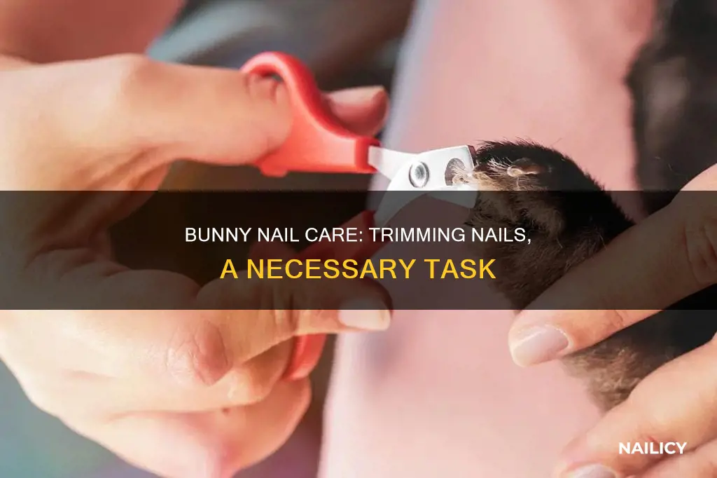 do bunnies nails need to be trimmed