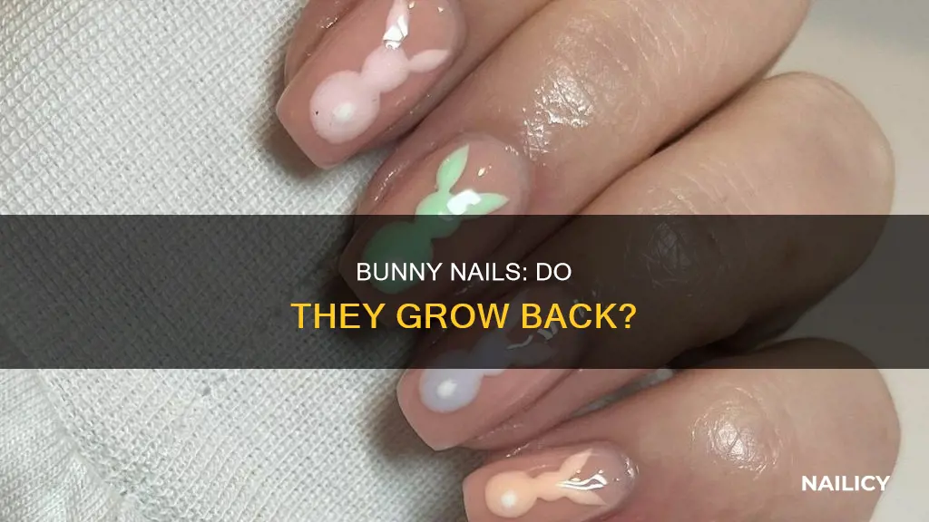 do bunny nails grow back