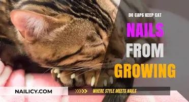 Cat Claw Caps: Do They Stop Nail Growth?