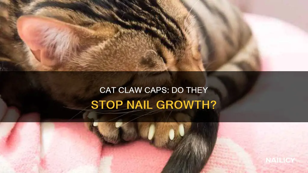 do caps keep cat nails from growing