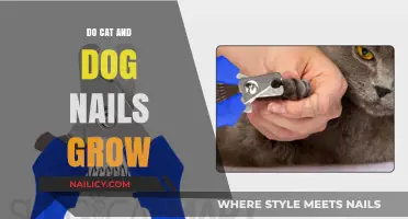 Pet Nail Growth: Cats and Dogs