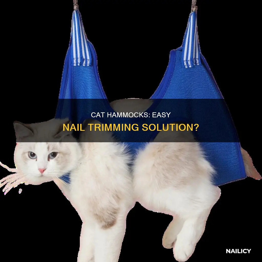 do cat hammocks work for nail trimming