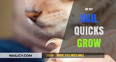 How Cat Nail Quicks Grow: A Guide for Owners