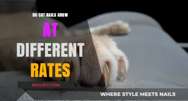 How Fast Do Cat Claws Grow?