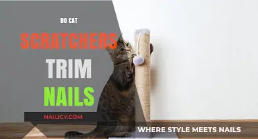 Cat Scratchers: Trimming Nails, Healthy Cats