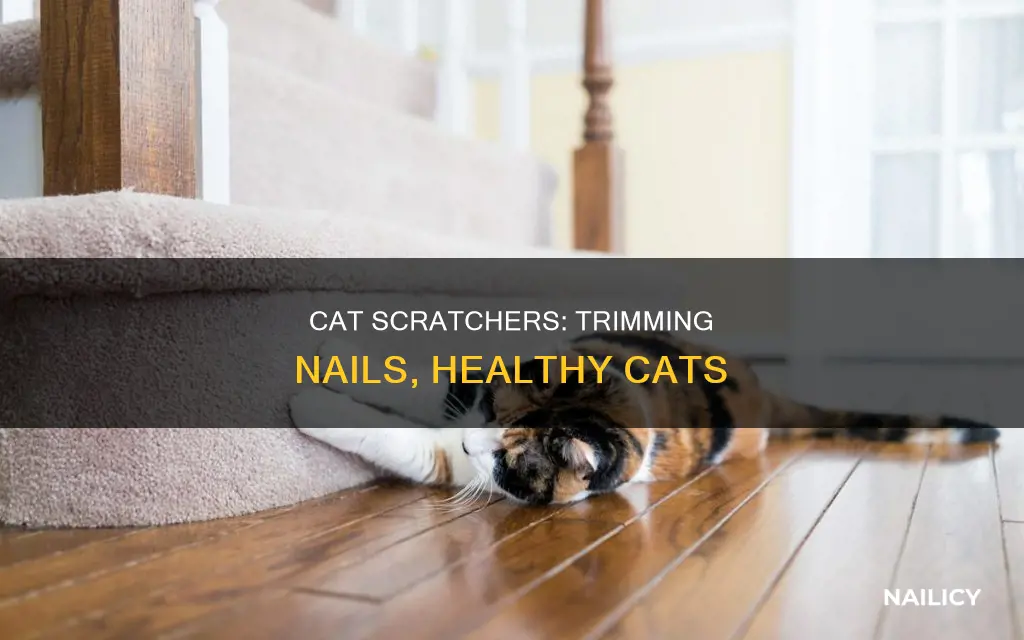 do cat scratchers trim nails