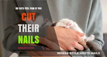 Understanding Cat Pain: Nail Trimming