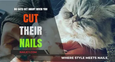 Feline Fury: The Truth About Cats and Nail Trimming