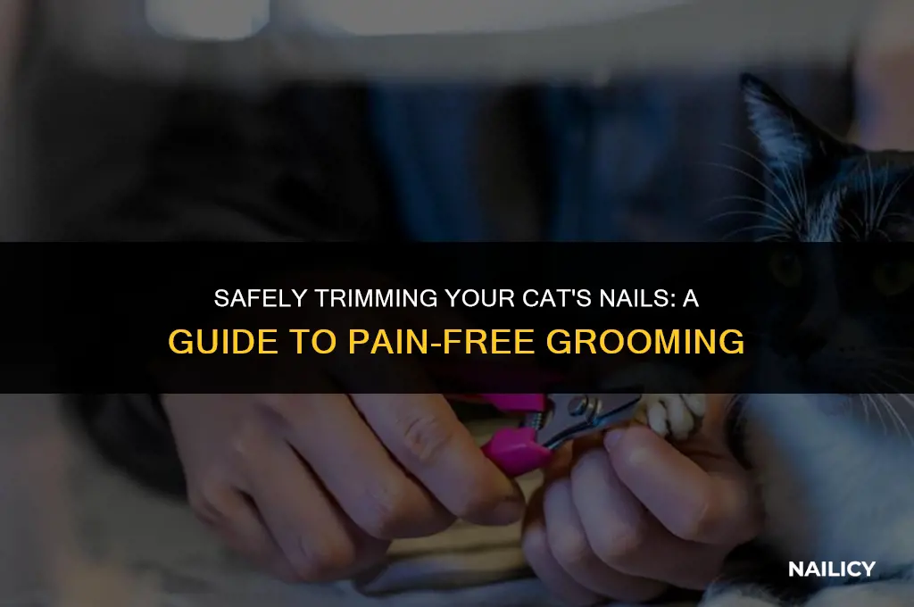 do cats get hurt when you cut their nails