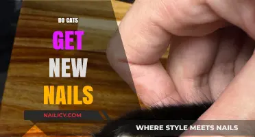 Purr-fectly Renewed: The Natural Process of Cats' Nail Growth