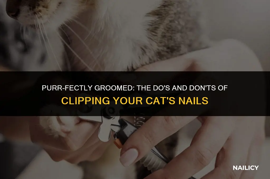 do cats get their nails clipped