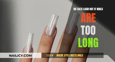 Why Long Nails Make Cats Lash Out