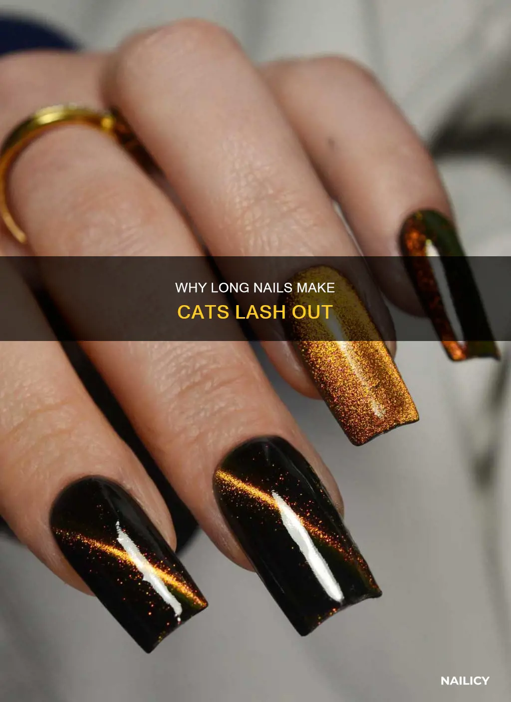 do cats lash out if nails are too long