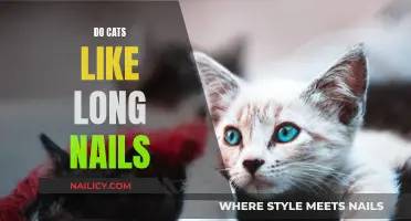 The Preference of Cats: Long Nails, Yay or Nay?