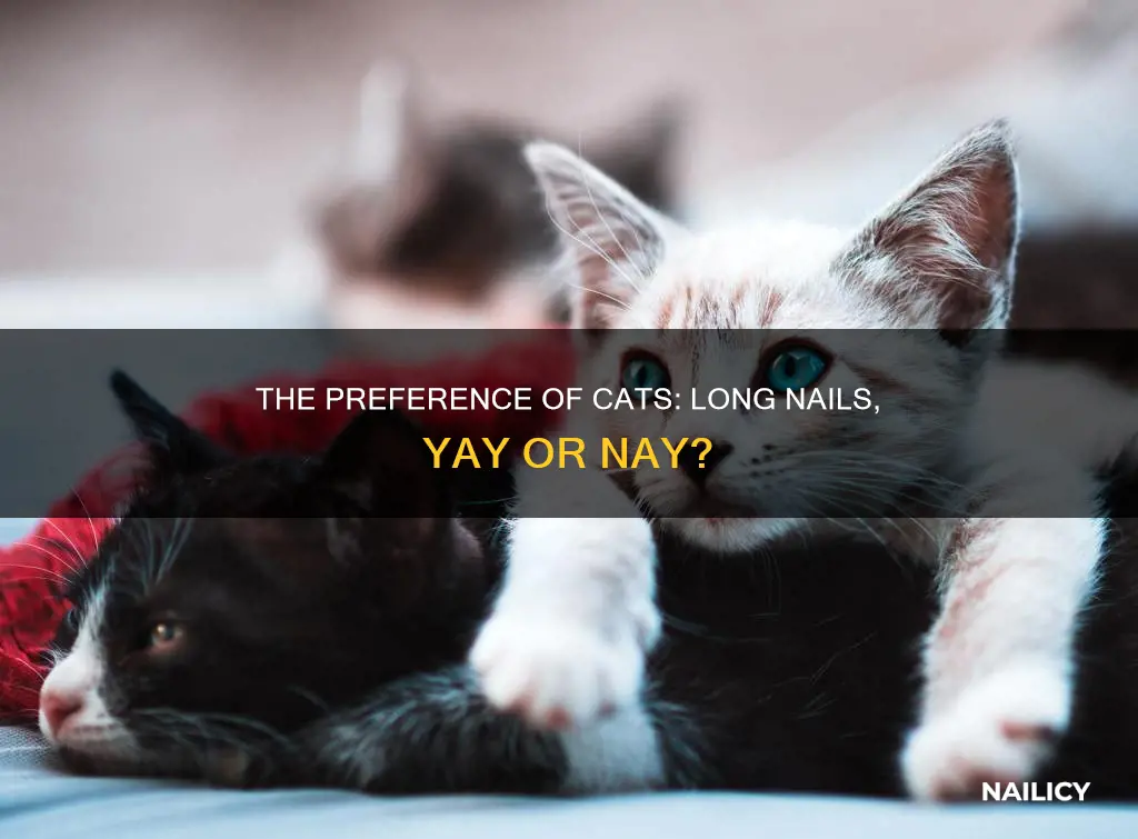 do cats like long nails
