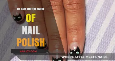 Do Cats Like the Smell of Nail Polish? Uncovering Feline Preferences