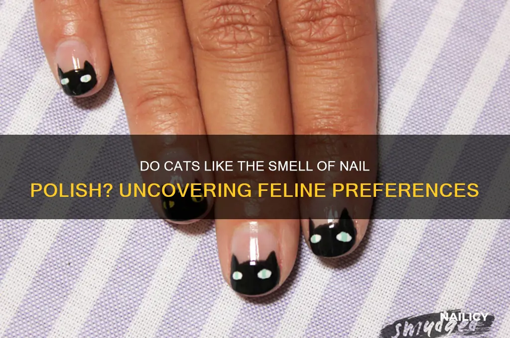 do cats like the smell of nail polish