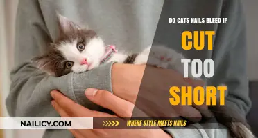 Trimming Cat Nails: Can They Bleed?