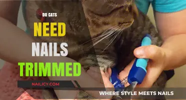 Trimming Cat Nails: When and Why You Should Do It