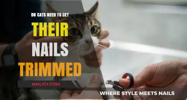 Feline Nail Care: Trimming Necessary or Natural Maintenance?