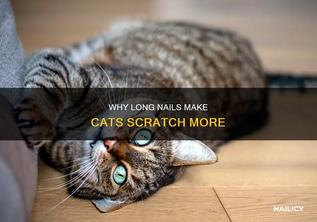 do cats scratch more when nails long