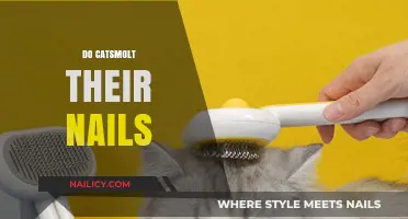 Do Cats Molt Their Nails? Understanding Feline Claw Shedding