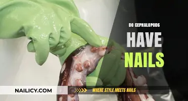 Do Cephalopods Have Nails? Unraveling the Mystery of Their Unique Anatomy