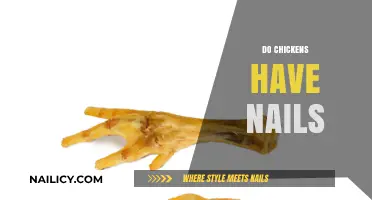 Do Chickens Have Nails? Uncovering the Truth About Their Feet