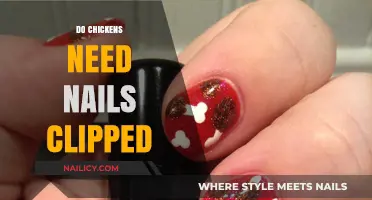 Do Chickens Need Nail Trims? Essential Care Tips for Healthy Birds