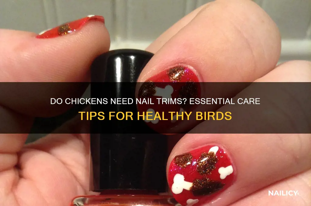 do chickens need nails clipped