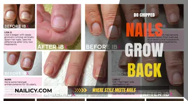 Chipped Nails: Can They Grow Back Stronger?