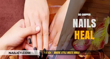 Can Chipped Nails Heal? Understanding Nail Repair and Recovery
