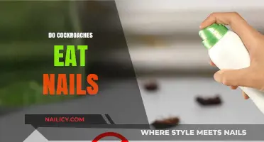 Do Cockroaches Eat Nails? Unraveling the Truth Behind This Myth
