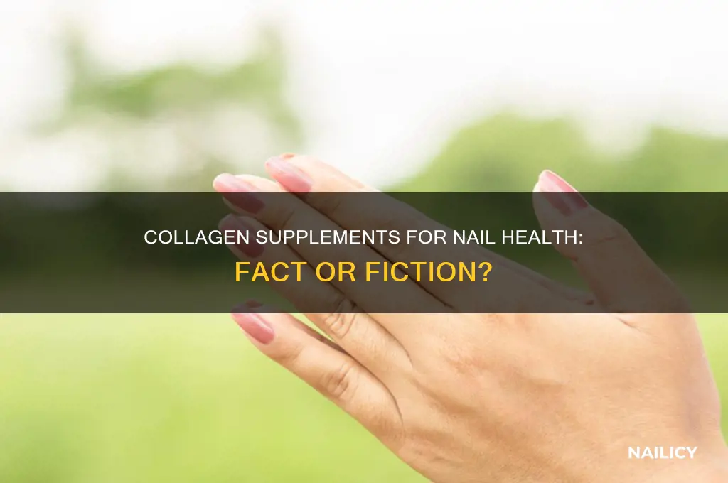 do collagen supplements help nails
