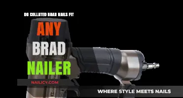 Do Collated Brad Nails Fit Any Brad Nailer? Compatibility Explained