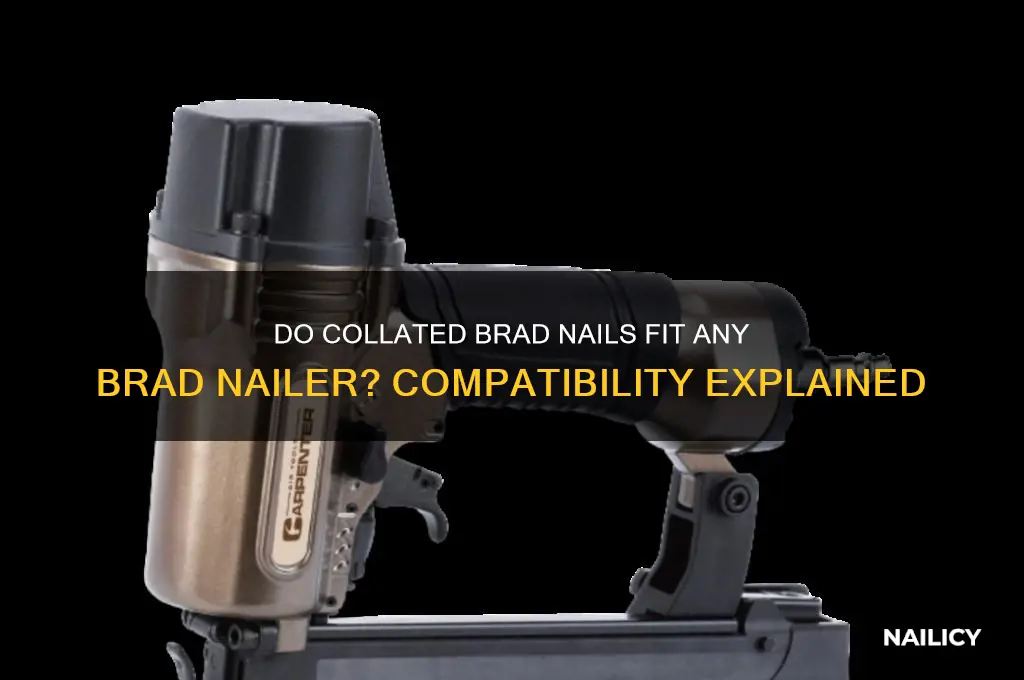 do collated brad nails fit any brad nailer