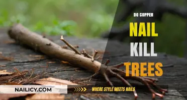 Copper Nails and Trees: Uncovering the Truth Behind the Myth