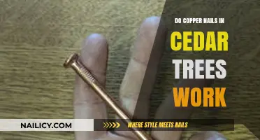 Copper Nails in Cedar Trees: Effective Pest Control or Myth?