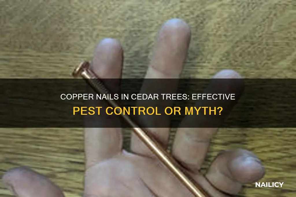 do copper nails in cedar trees work