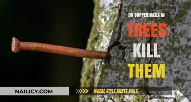 Copper Nails in Trees: Harmful Myth or Tree-Saving Solution?