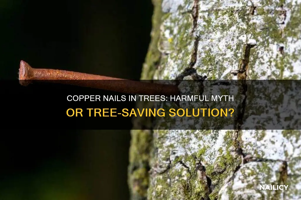 do copper nails in trees kill them