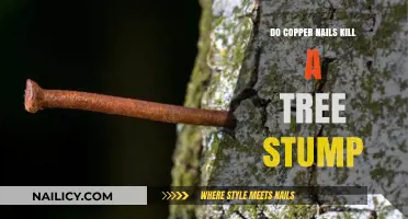 Copper Nails vs. Tree Stumps: Effective Killer or Myth?