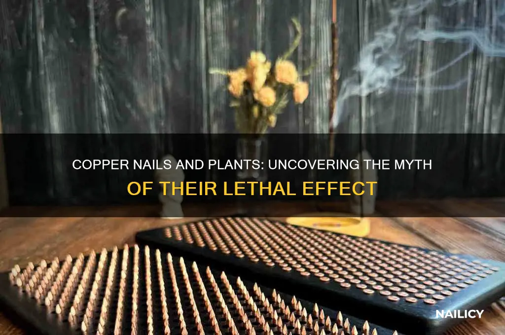 do copper nails kill plants